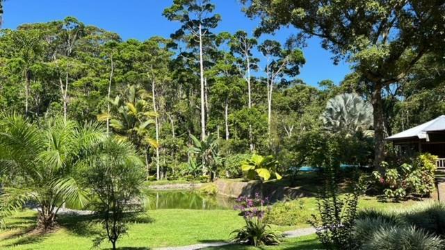 Siquirres Mountain Lodge Siqurres Da Alegria Экстерьер фото